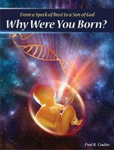 why born directory